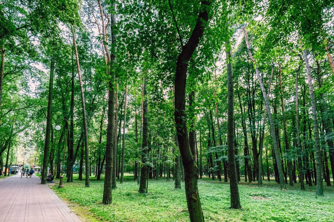 Gorky Park